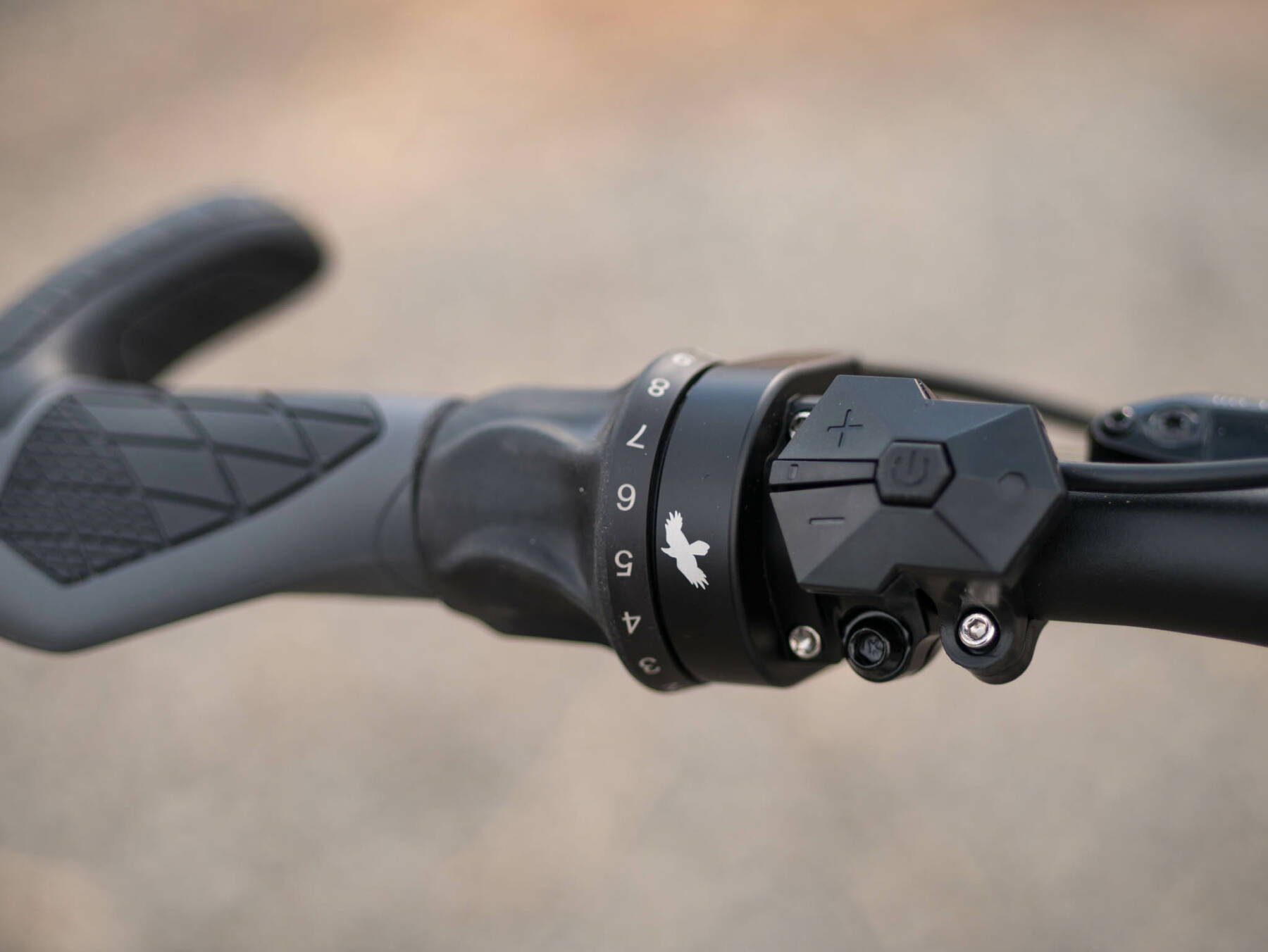 Allroad limited Rohloff shifter and controls