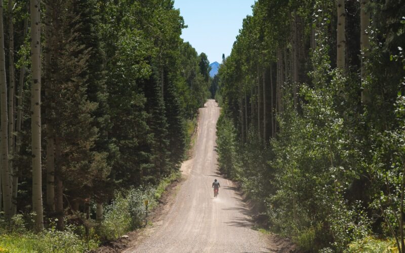 optibike-riding-down-long-mountain-road-2 An Optibike Electric Bike riding down a long mountain road, surrounded by tall pine trees.